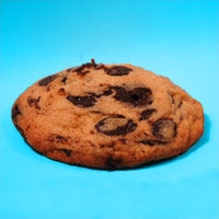 Chocolate Chip 2